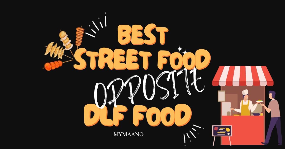 BEST STREET FOOD OPPOSITE DLF FOOD IN INDIA