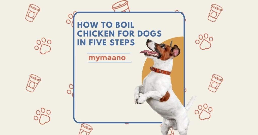 HOW TO BOIL CHICKEN FOR DOGS IN FIVE STEPS