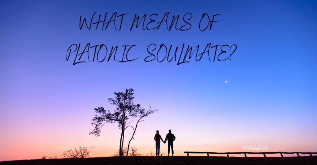 WHAT MEANS OF PLATONIC SOULMATE
