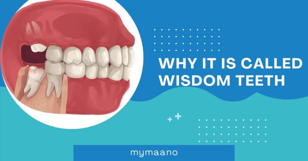 why it is called wisdom teeth