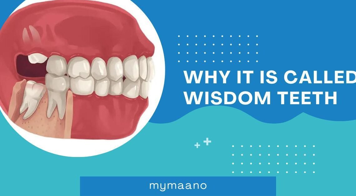 WHY IT IS CALLED WISDOM TEETH?