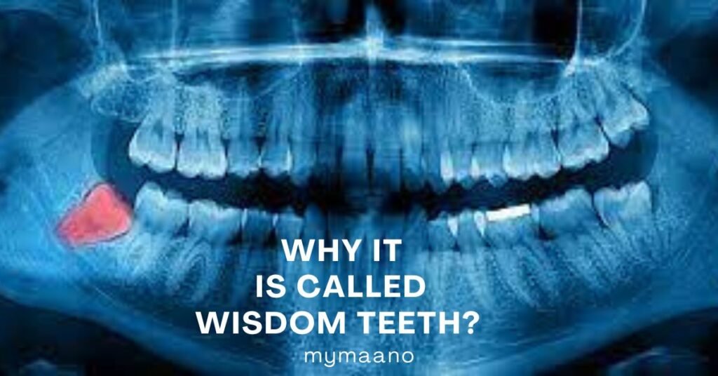 why it is called wisdom teeth